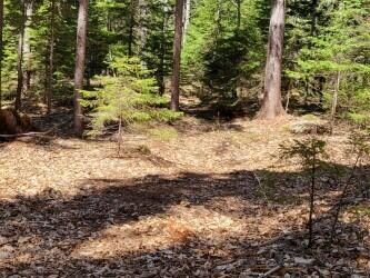 0 Quail Run Lot 2