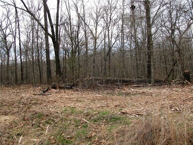 0 Leland Ln unit 1076820, Bella Vista, AR 72715 - photo 5