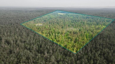 6612 Old Vanderbilt Rd, Vanderbilt, MI 49795 - photo 5