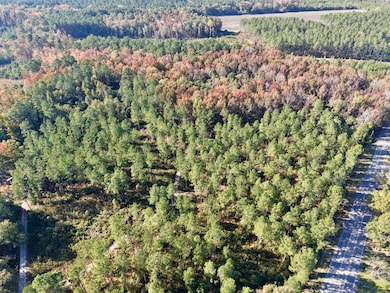 TBD Binnicker Bridge Rd, Bamberg, SC 29003 - photo 5