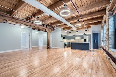 368 W Huron St unit 2N, Chicago, IL 60654 - photo 6