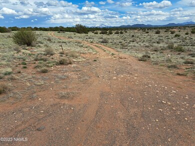 Road to property