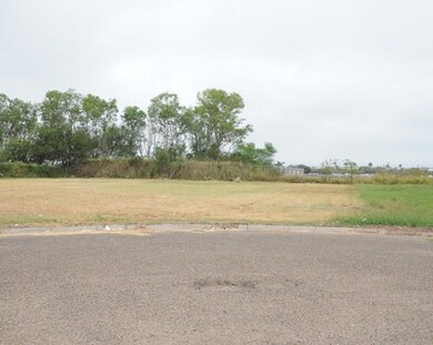 710 Marissa Dr, Alamo, TX 78516 - photo 3