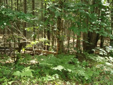 Lot 2 Harris unit 2, Thornton, NH 03223 - photo 5