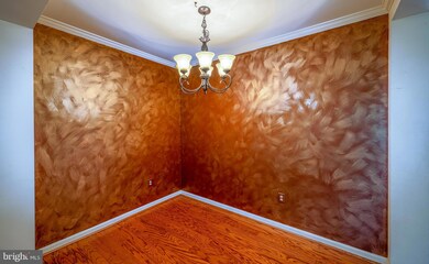 729B Massey Ln unit 100, Alexandria, VA 22314 - photo 6