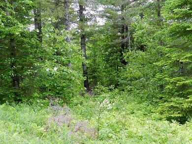 Land.