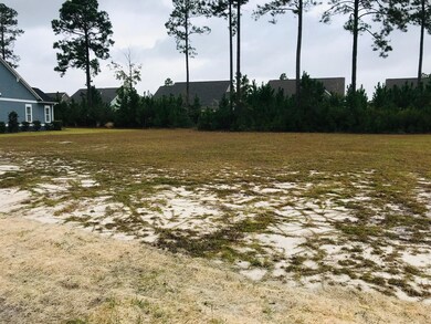 1261 Cross Water Cir, Leland, NC 28451 - photo 3