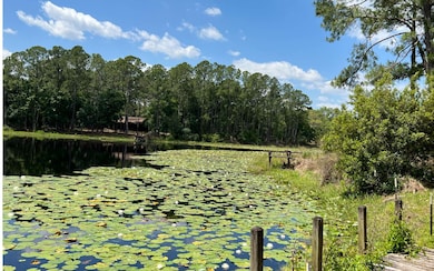 9360 N Cedar Cove Rd, Dunnellon, FL 34434 - photo 6