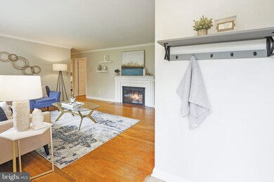 7903 Wellington Rd, Alexandria, VA 22308 - photo 4