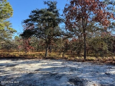 495 Antilla Dr SE, Bolivia, NC 28422 - photo 7