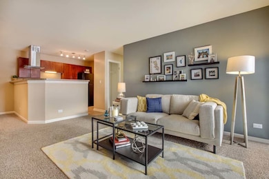 167 Ascot Ln unit 3424, Willowbrook, IL 60527 - photo 7