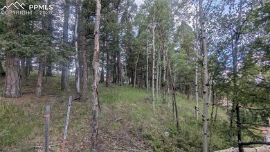 924 Will Scarlet Dr, Divide, CO 80814 - photo 7