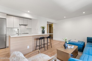 119 E Cooper Ave unit 26, Aspen, CO 81611 - photo 4