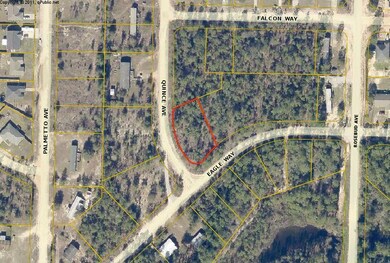 Eagle Way Aerial View