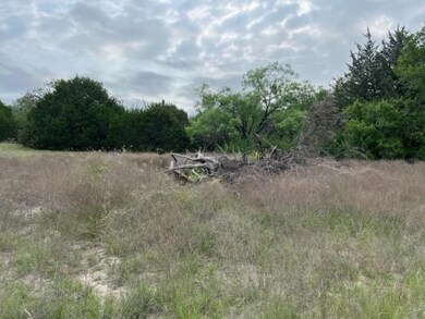 1067 Sweeney Way, Weatherford, TX 76087 - photo 4