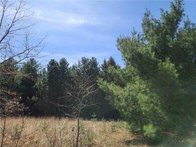 Lot 1 Miller Rd, Oakland Township, WI 54830 - photo 7