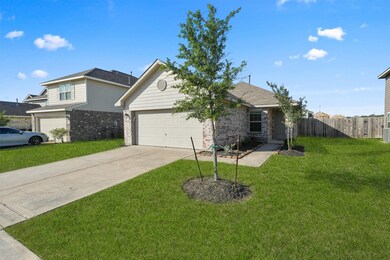 Beautiful front yard