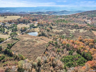 31 acres Beagle Rd, Sardis City, AL 35956 - photo 3