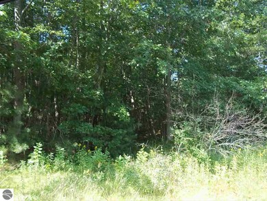 00 N Baldwin Resort Rd unit 1, East Tawas, MI 48730 - photo 6