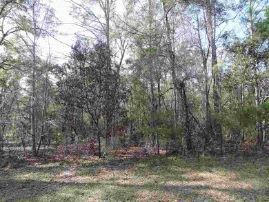 0 Sawmill Ct unit 314446, Crawfordville, FL 32323 - photo 2