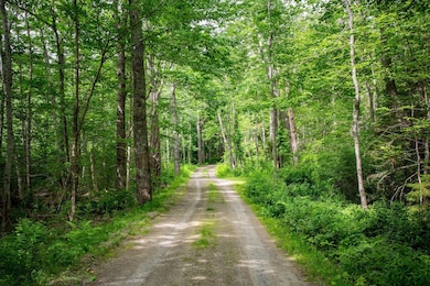 150 Melvin Heights Rd, Camden, ME 04843 - photo 3