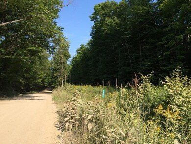 County road with driveway to 10 acres