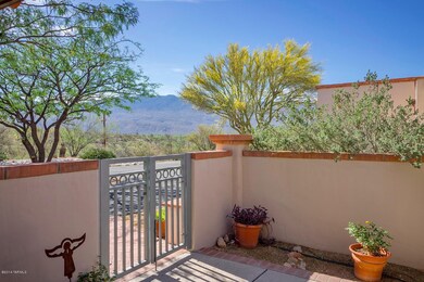 View to the Rincon Mountains