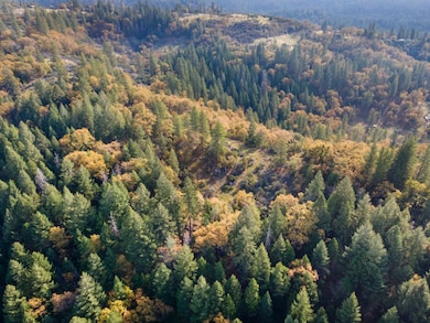 0 Apn#077-021-035-000 unit 225143998, Pollock Pines, CA 95726 - photo 2