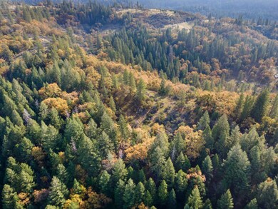 0 Starkes Grade Rd unit 225143998, Pollock Pines, CA 95726 - photo 2