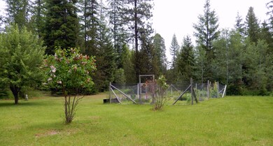 Garden & Fruit Trees