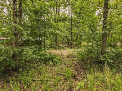 0 Red Robin Ln, Poplar Bluff, MO 63901 - photo 4