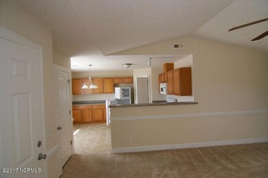 2204 Saddleback Dr, Winterville, NC 28590 - photo 3