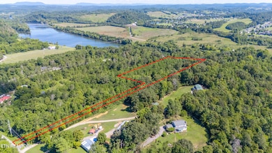 1761 Rays Gap Rd, Seymour, TN 37865 - photo 5