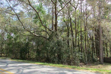 11302 SW 186th Cir, Dunnellon, FL 34432 - photo 3