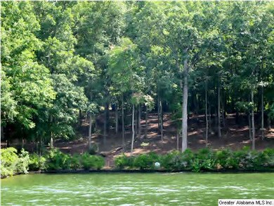 Lot has updated survey and perked for septic tank 