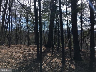 0 Nicklaus unit VASH116988, Basye, VA 22810 - photo 3