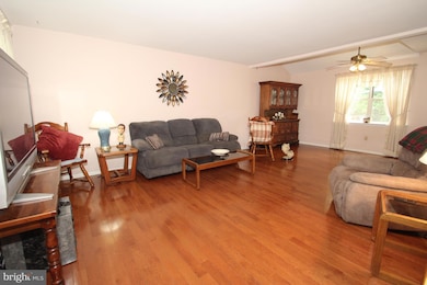 5 Parrot Ct, Newark, DE 19702 - photo 3