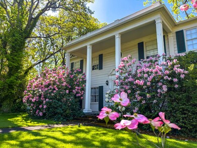 Main St. Spring Blooms