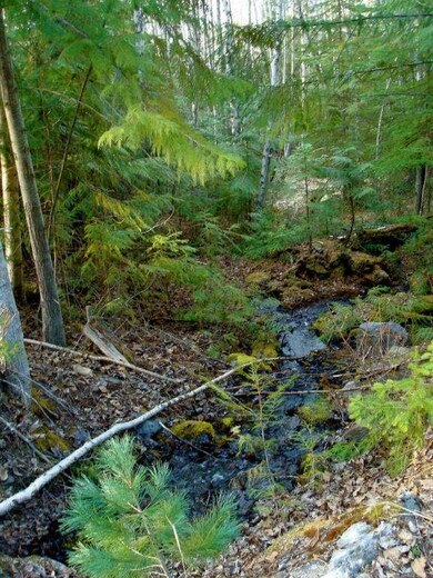 6 YEAR ROUND CREEK