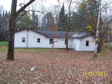 Back View