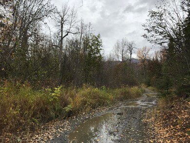 Road Leading in to Property