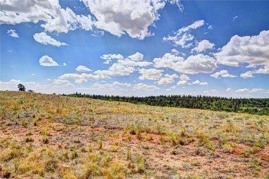 59 Pelican Place, Como, CO 80432 - photo 6