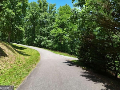 Lot 10 Hidden Summit Rd unit 10, Hiawassee, GA 30546 - photo 4