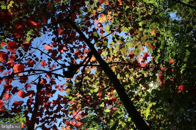 0 River View Place unit VAPA2005486, Shenandoah, VA 22849 - photo 6