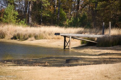 0 County Road 115, Carrollton, MS 38917 - photo 7