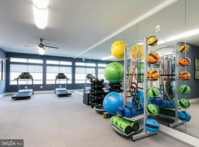 Enclave unit 306, Fairfax, VA 22031 - photo 6