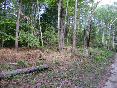 00 Berndorf unit 25.1, Moultonborough, NH 03254 - photo 7