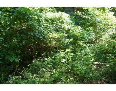 16064 Trace Branch Rd, West Fork, AR 72774 - photo 7