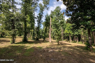 8-web-or-mls-Winding Creek Rd Lots 1 & 2