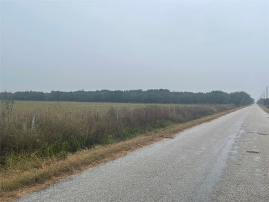 1015 Daily Rd, Rosenberg, TX 77471 - photo 2